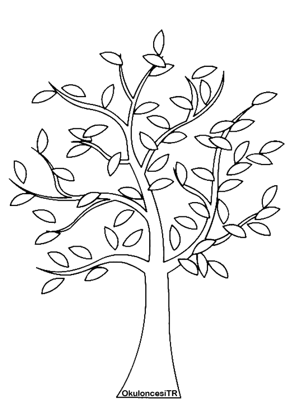 Раскраска «Деревья и листья»