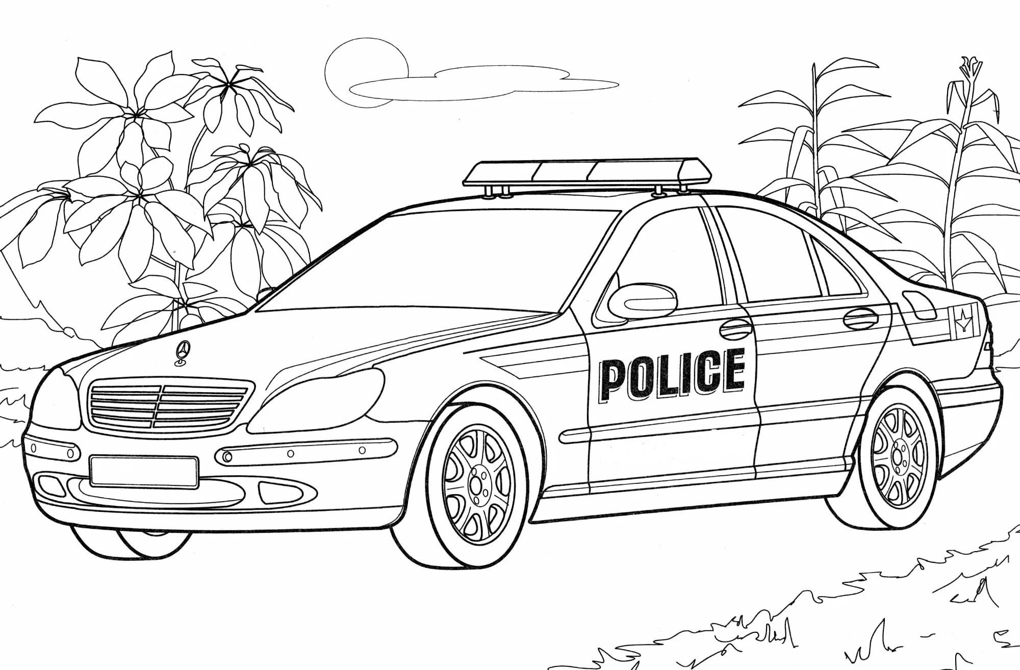 Полицейская машина рас