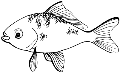 Рыба лещ вектор