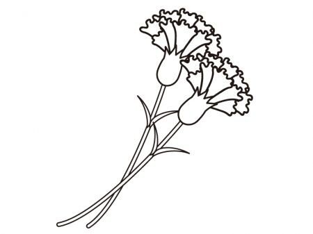 Гвоздика раскраска рисунок (42 фото)