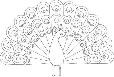 Павлин. Раскраска