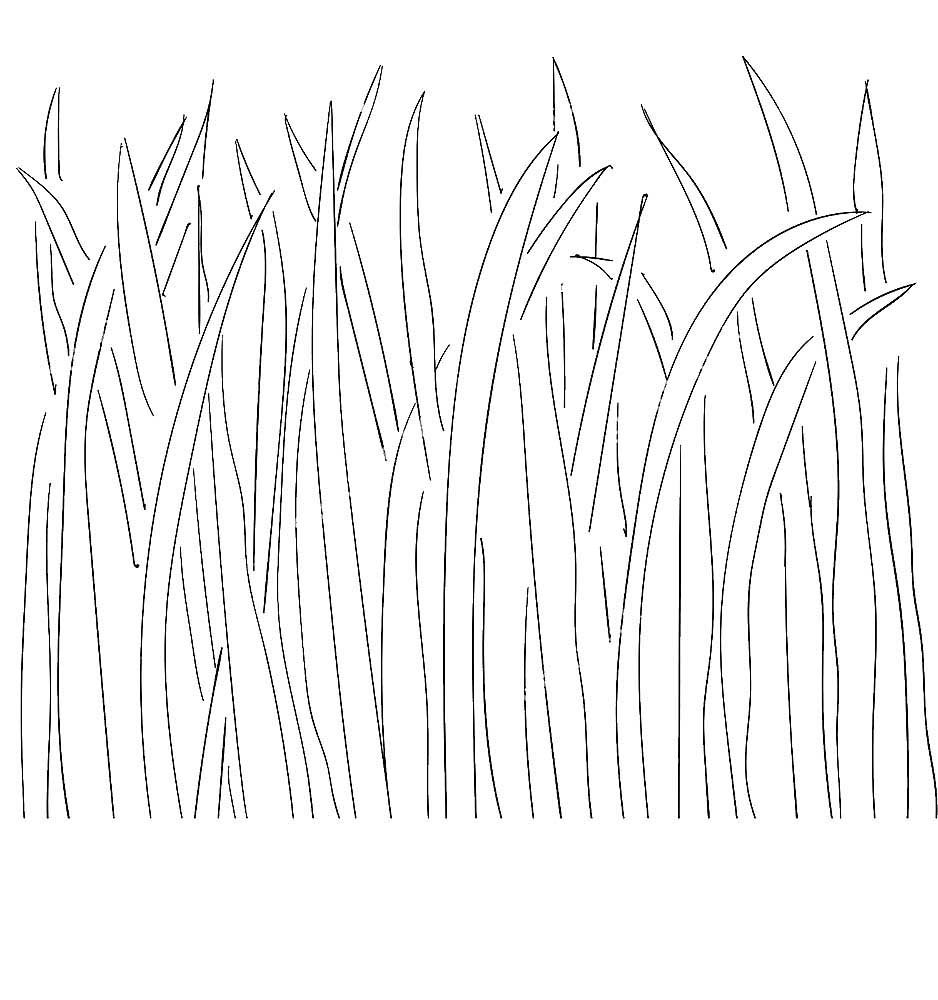 Трава раскраска