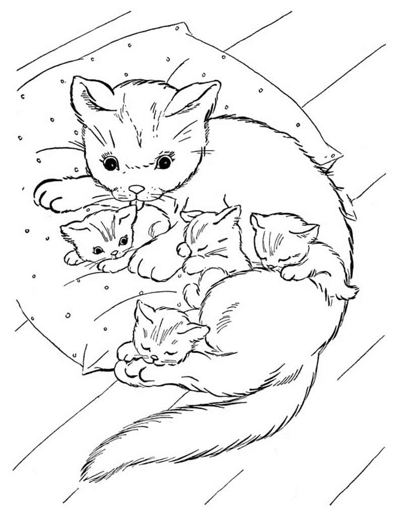 Кошка с котятами раскраска для детей