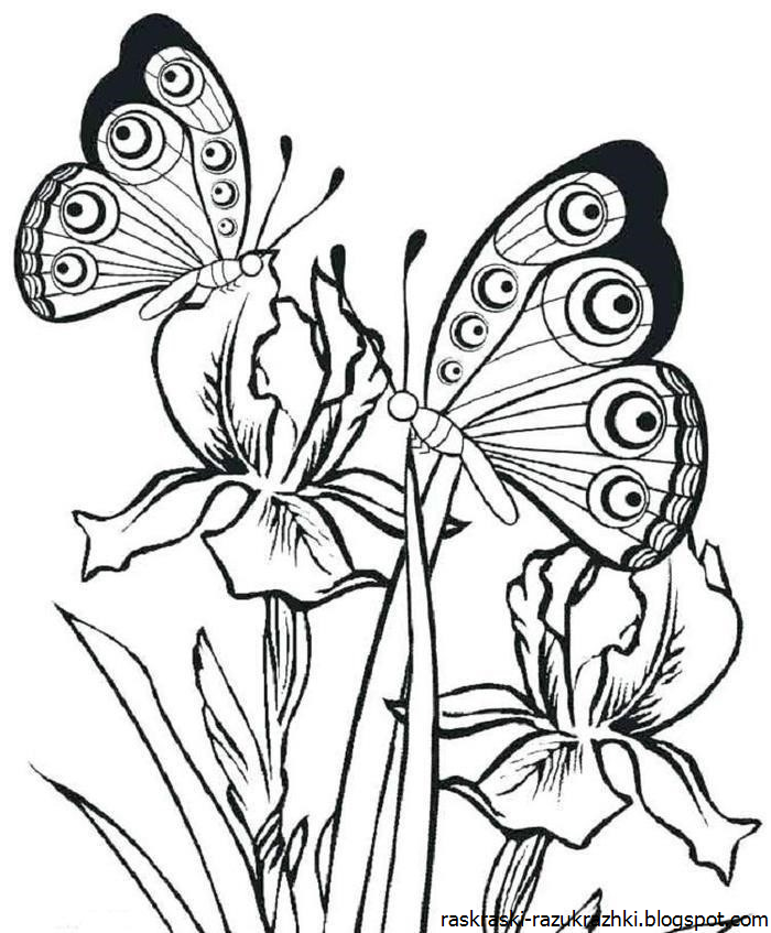 Раскраска 2 бабочки. Раскраска "бабочки". Цветы и бабочки. Раскраска. Бабочка раскраска для детей. Раскраска для девочек бабочки.