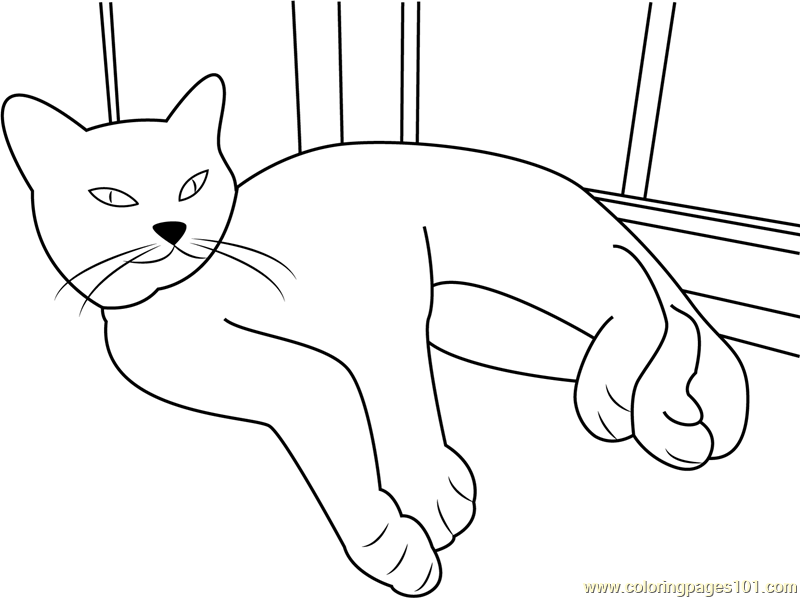 Cat nap раскраска. Раскраска кот. Раскраска котик на окне. Кот лежит раскраска. Кот на окне раскраска.