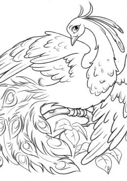 Жар птица рисунок раскраска для детей (46 фото)