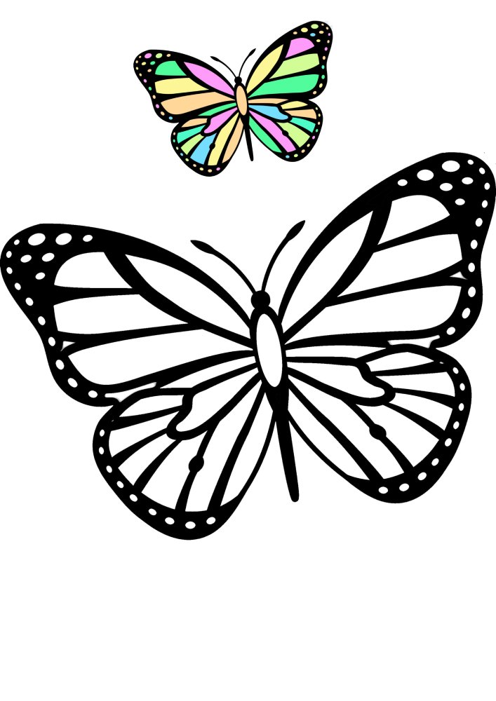 Раскраска 2 бабочки. Раскраска "бабочки". Бабочка раскраска для детей. Бабочка рисунок для детей трафарет. Бабочка для раскрашивания для детей.