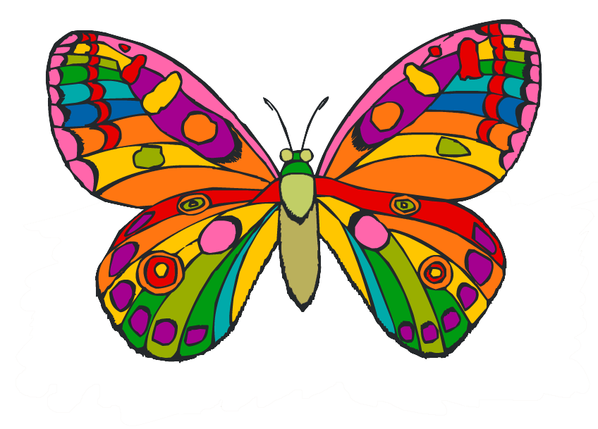 Без цветной рисунок. Бабочка картинка для детей. Бабочки цветные. Бабочка рисунок для детей. Бабочки рисунки цветные.