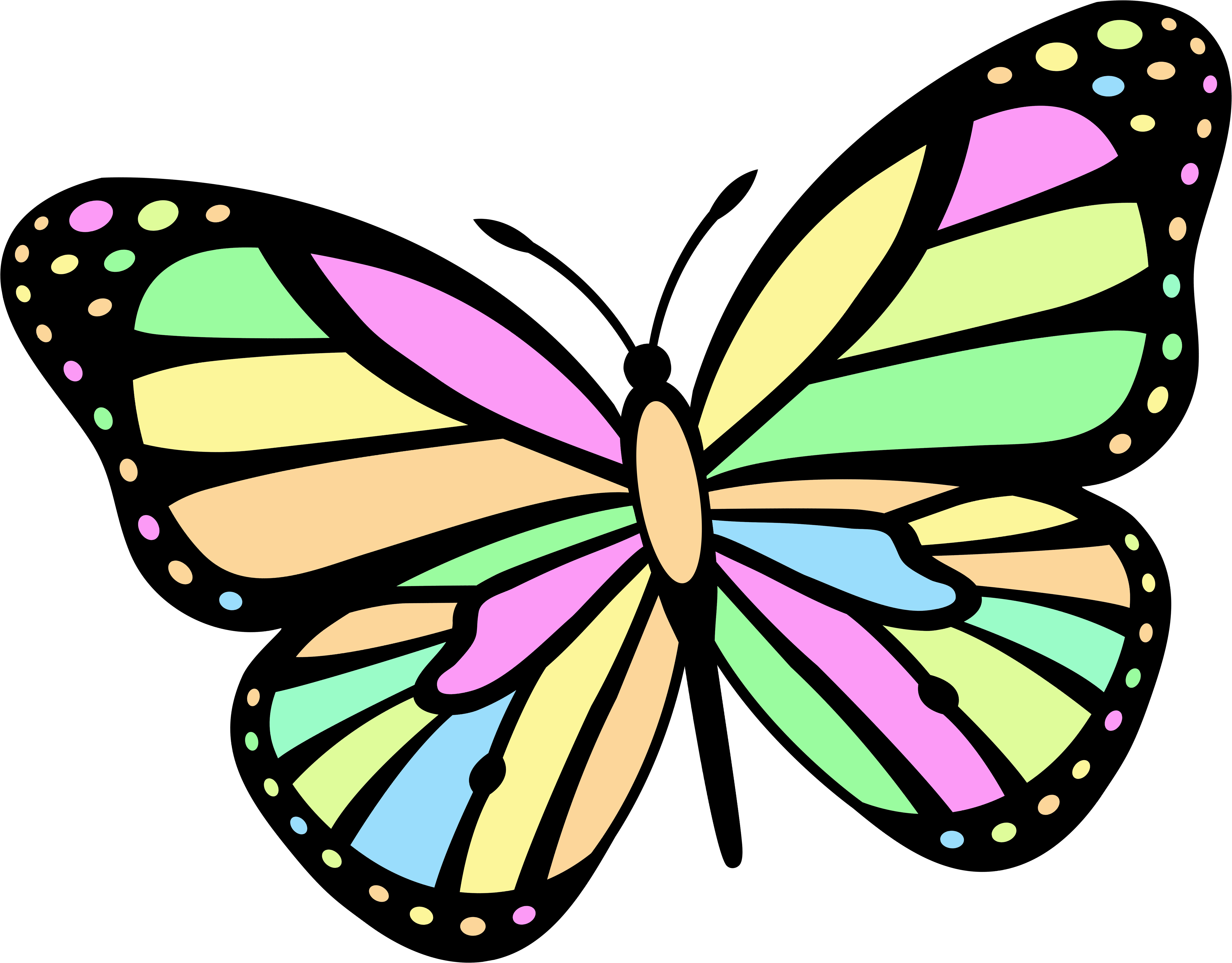 Без цветной рисунок. Бабочка рисунок. Бабочка картинка для детей. Бабочки рисунки цветные. Бабочка рисунок для детей.