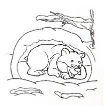 Спящий медведь раскраска для детей