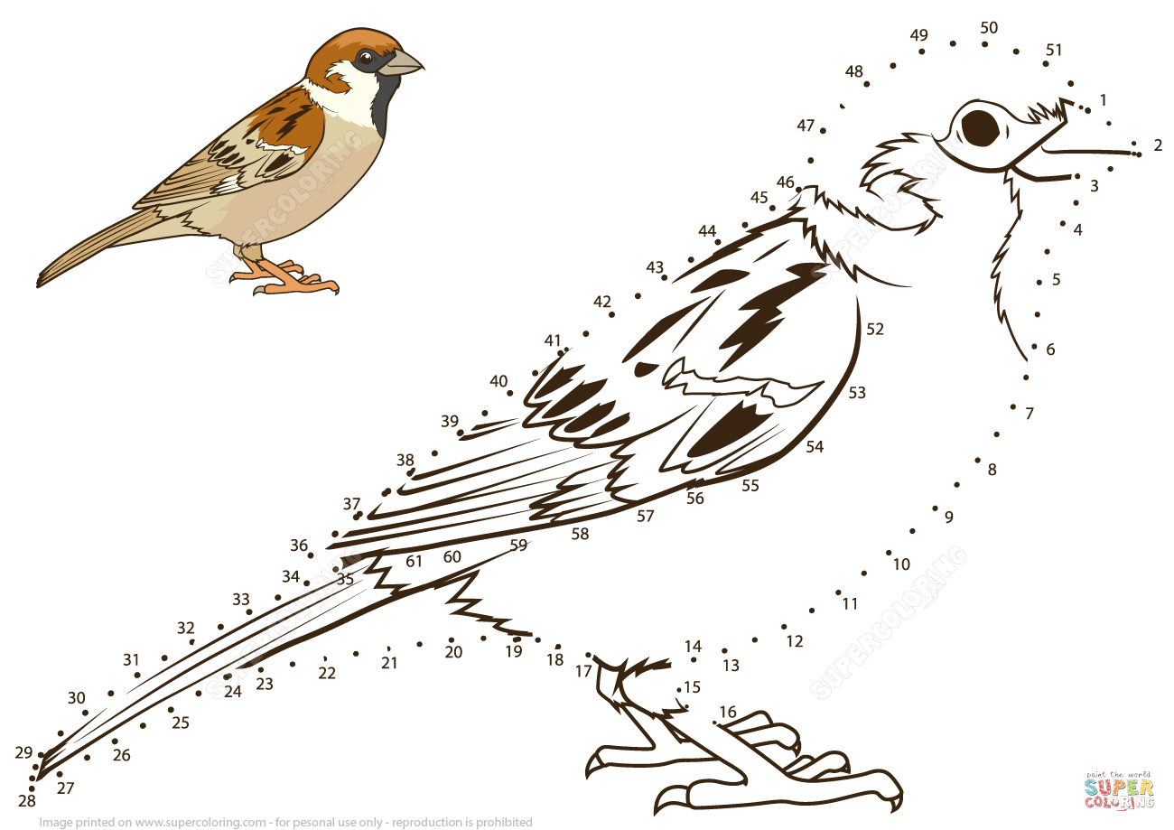 Рисование птиц по точкам