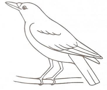 Ворона раскраска для детей