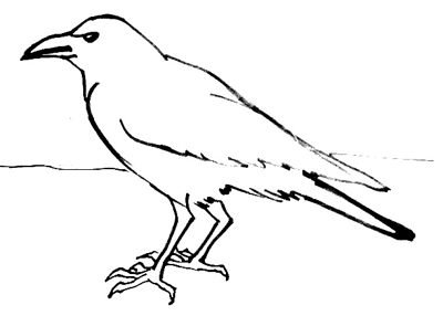 Ворона раскраска