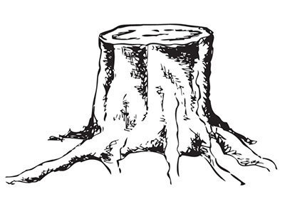 Пень раскраска для детей