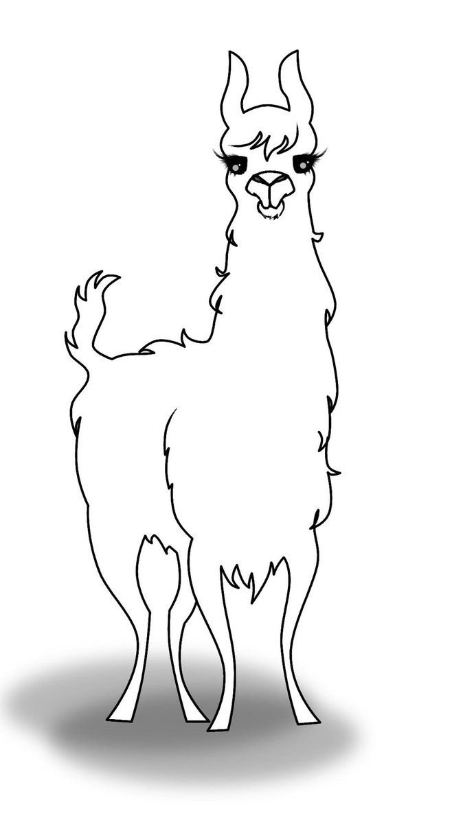 Раскраска лама