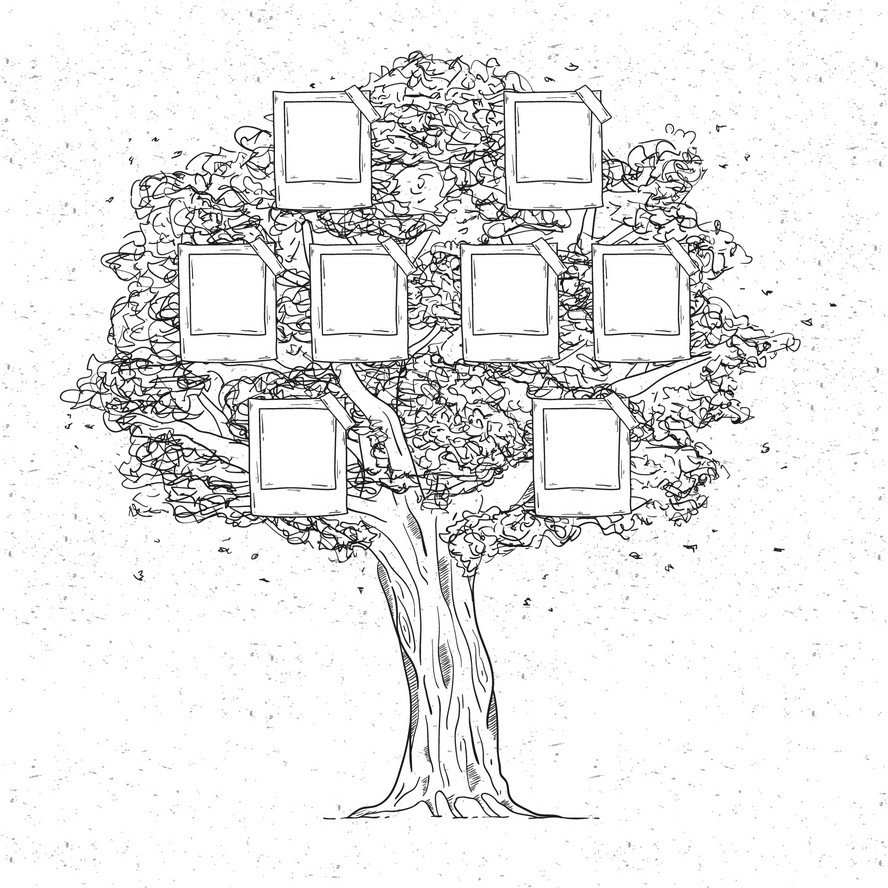 Генеалогическое дерево для раскрашивания