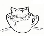 Раскраска котик в чашечке