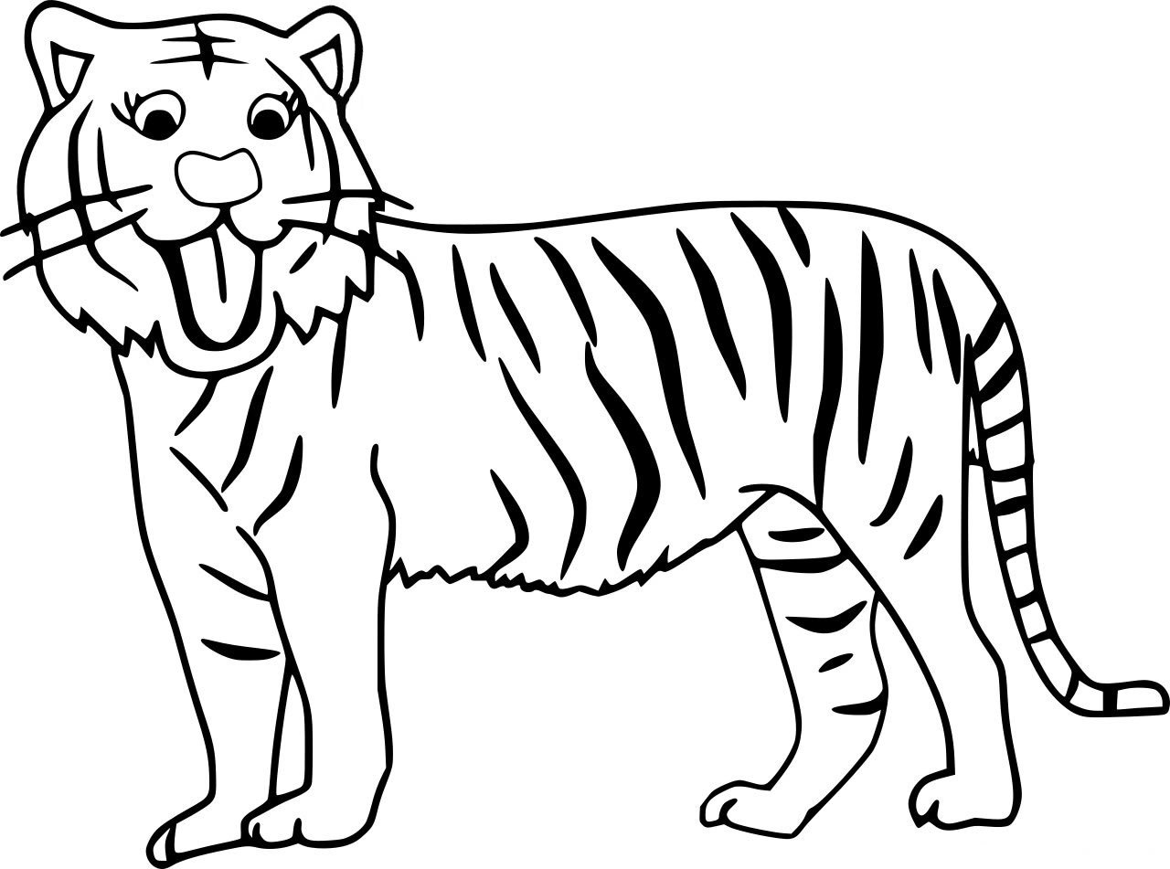 Тигр рисунок для детей раскраска