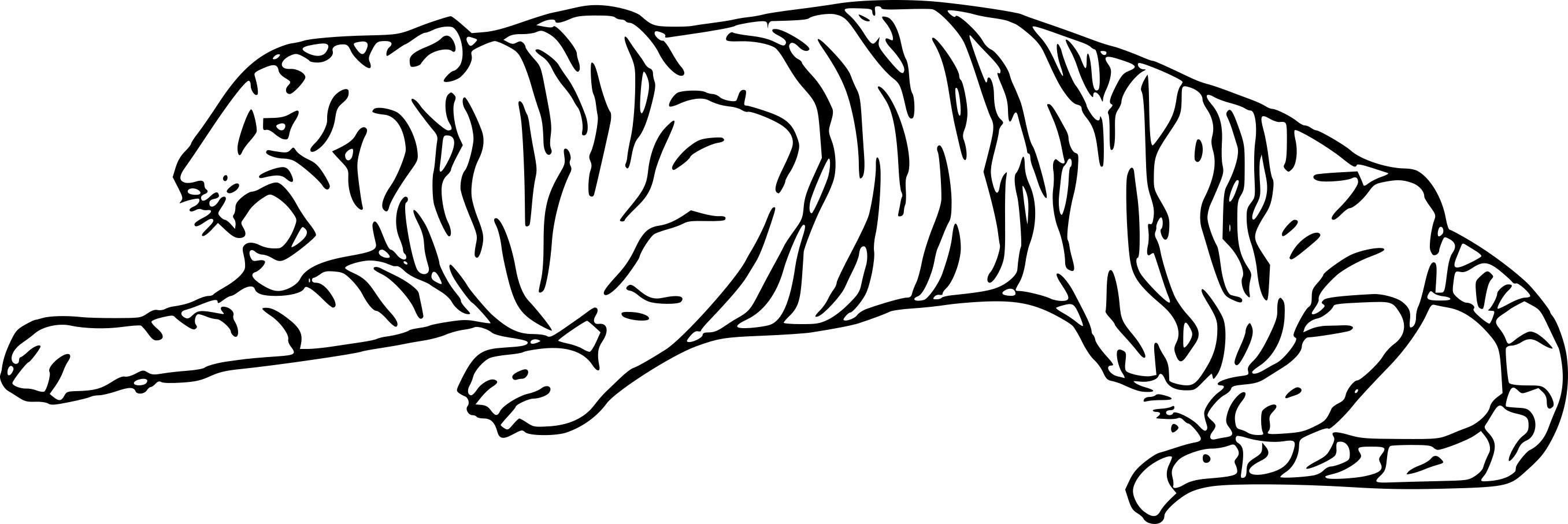 Силуэт тигра для раскрашивания