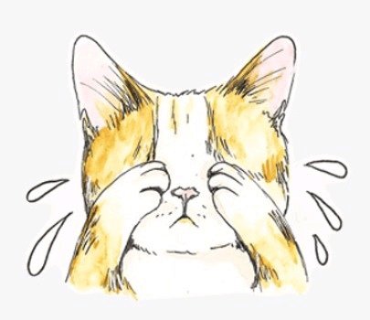 Раскраска котенок плачет
