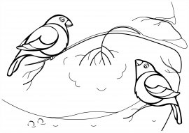 Снегирь на ветке раскраска