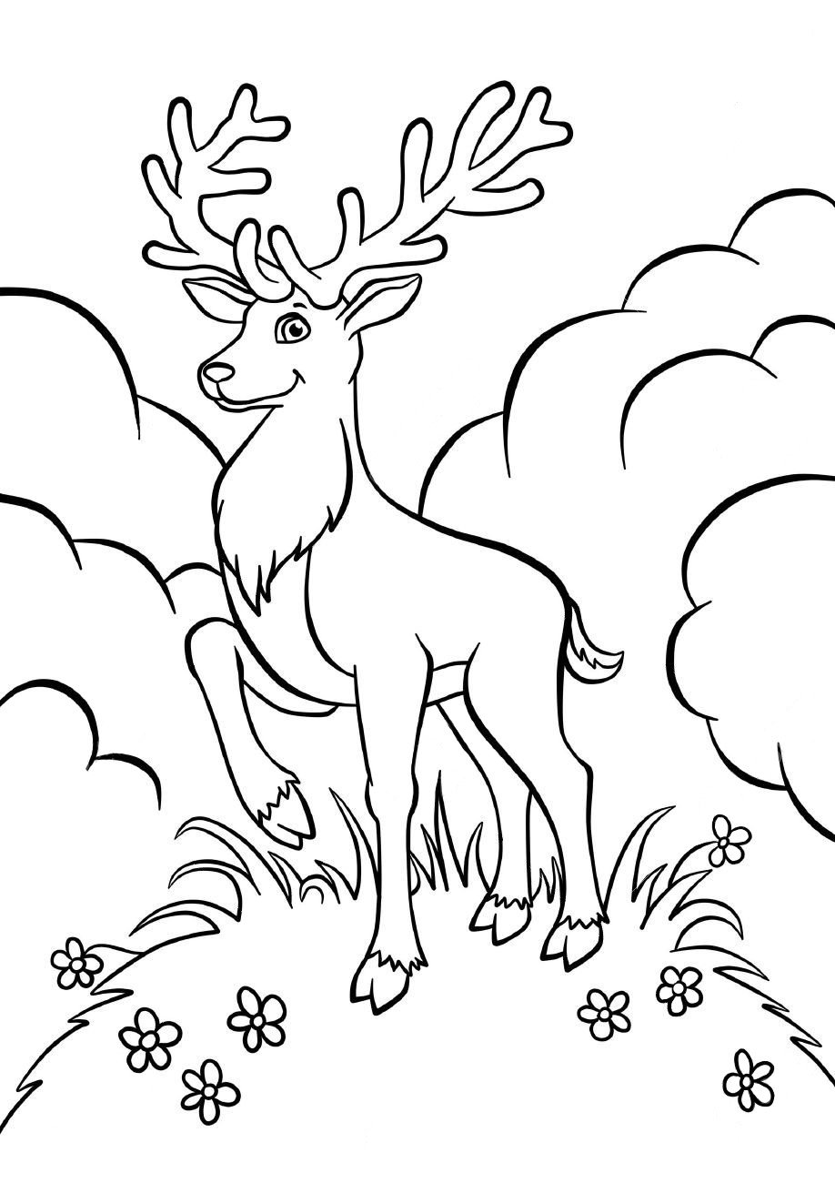 Раскраска олень в лесу