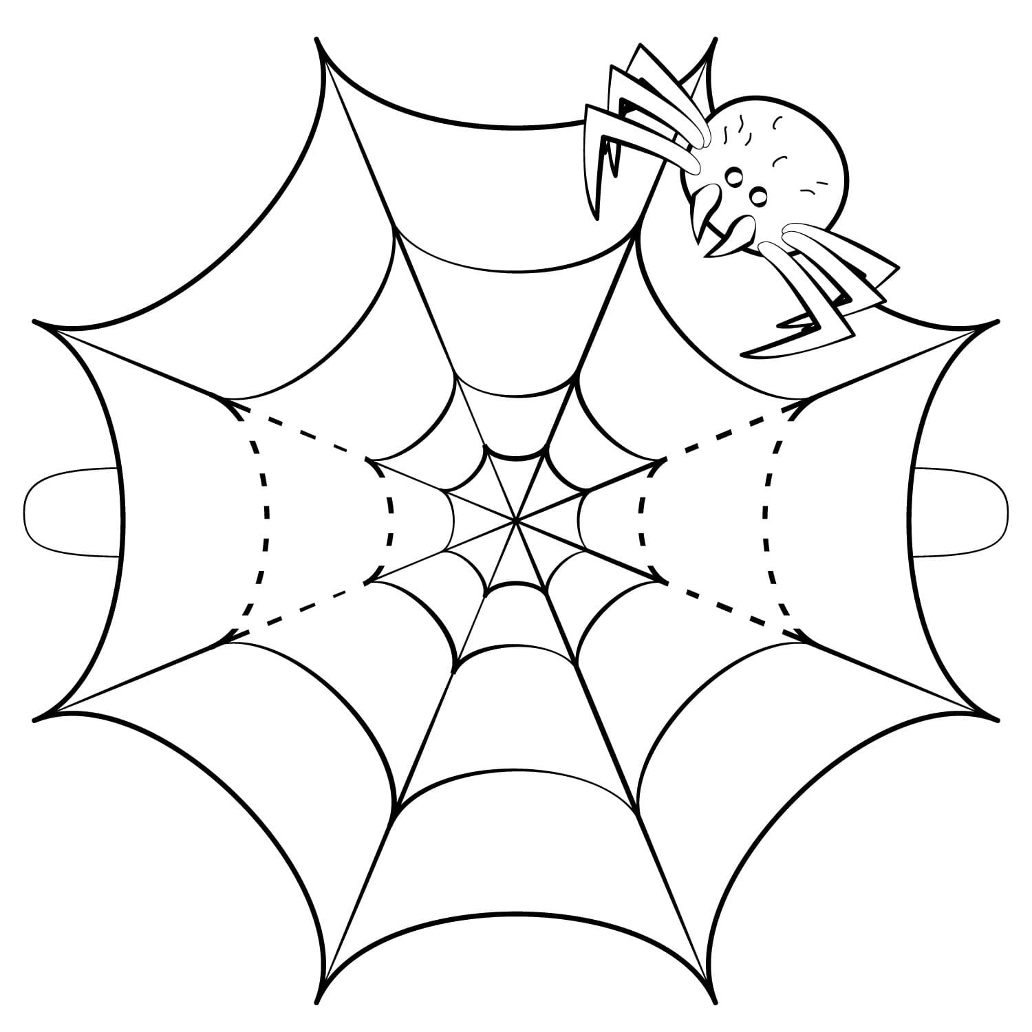 Паук на паутине раскраска