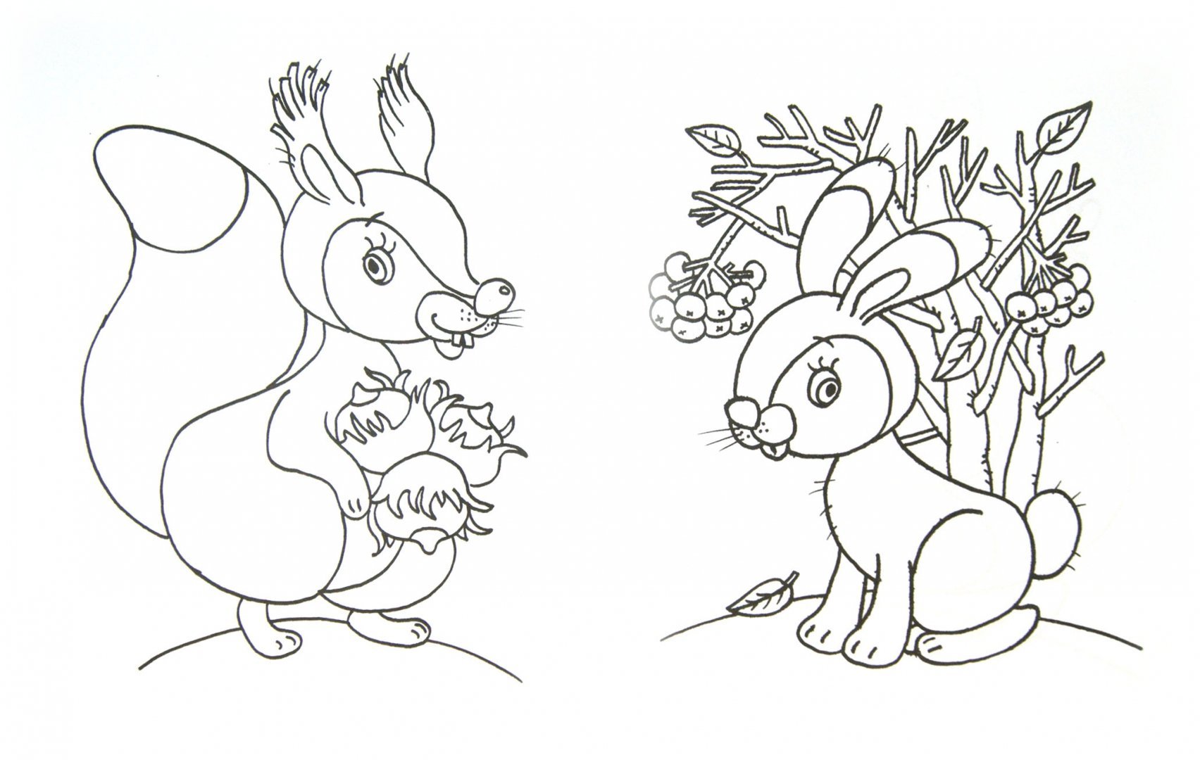 Раскраски Лесные животные для детей 4-5 лет