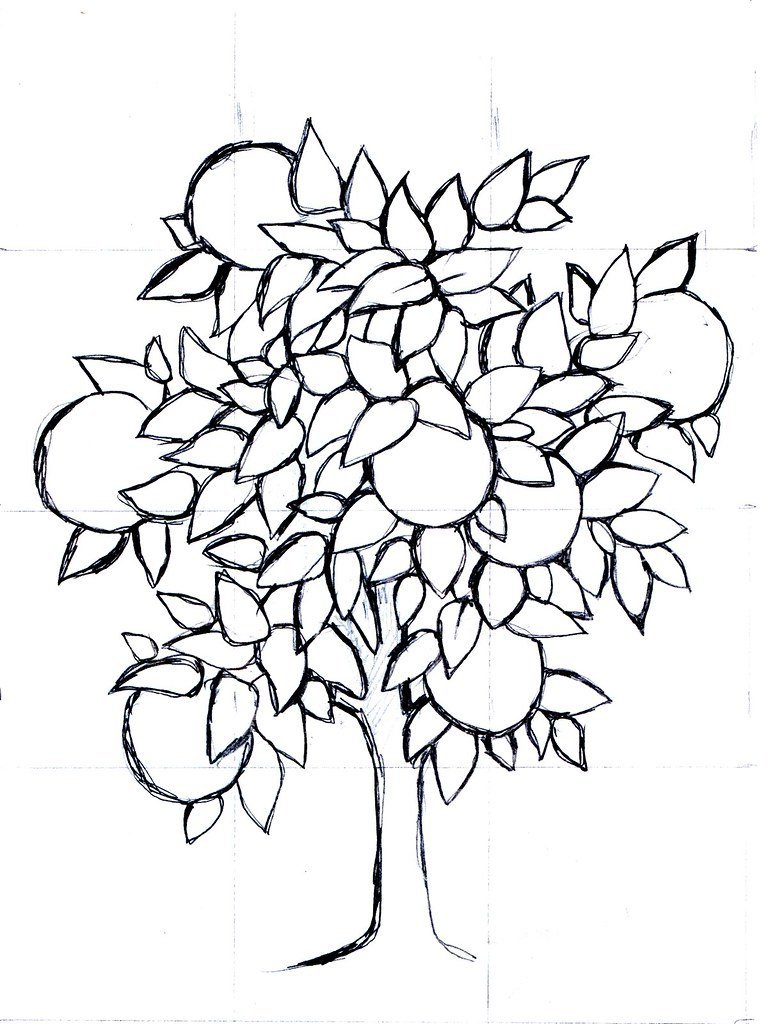 Как нарисовать плодовое дерево