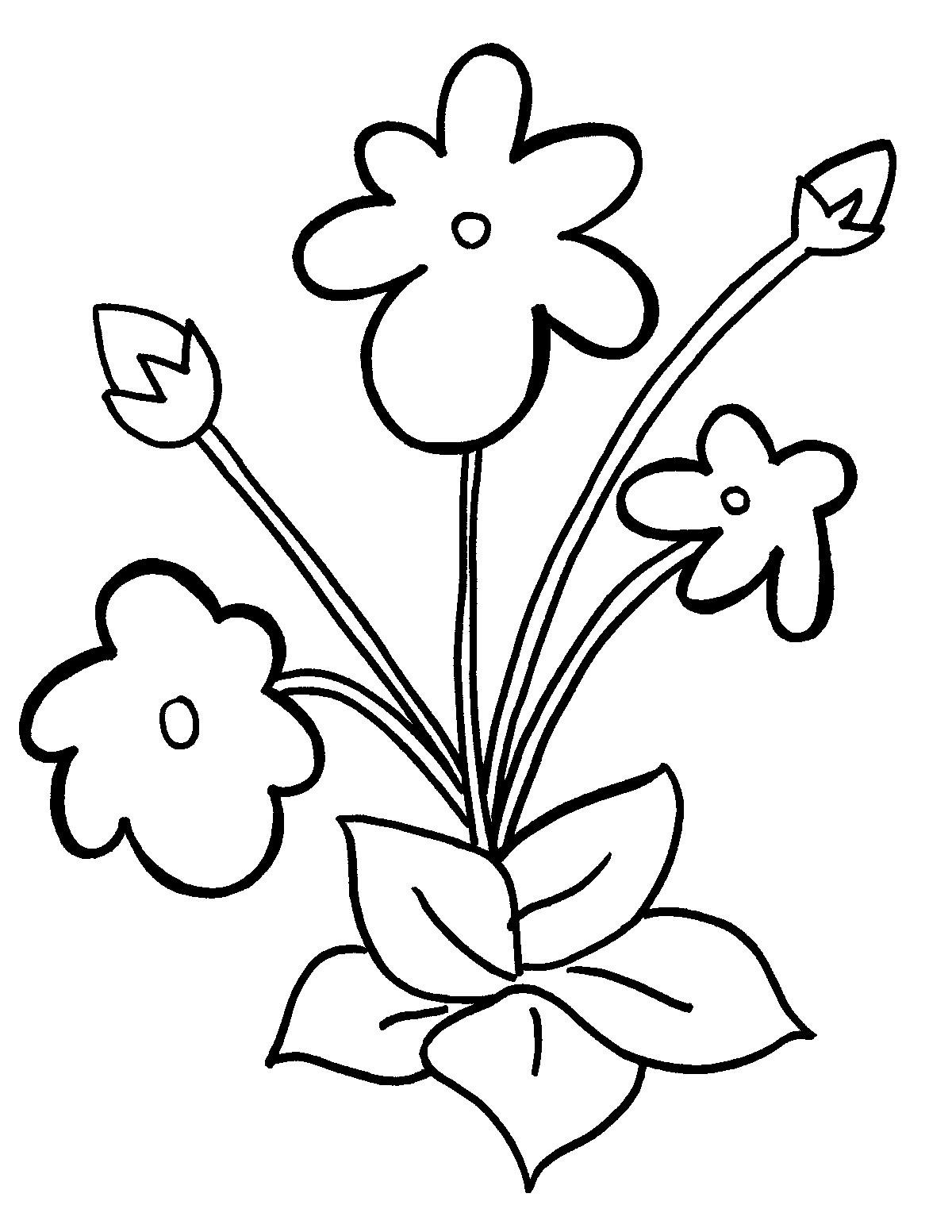 Раскраска цветы для детей средней группы