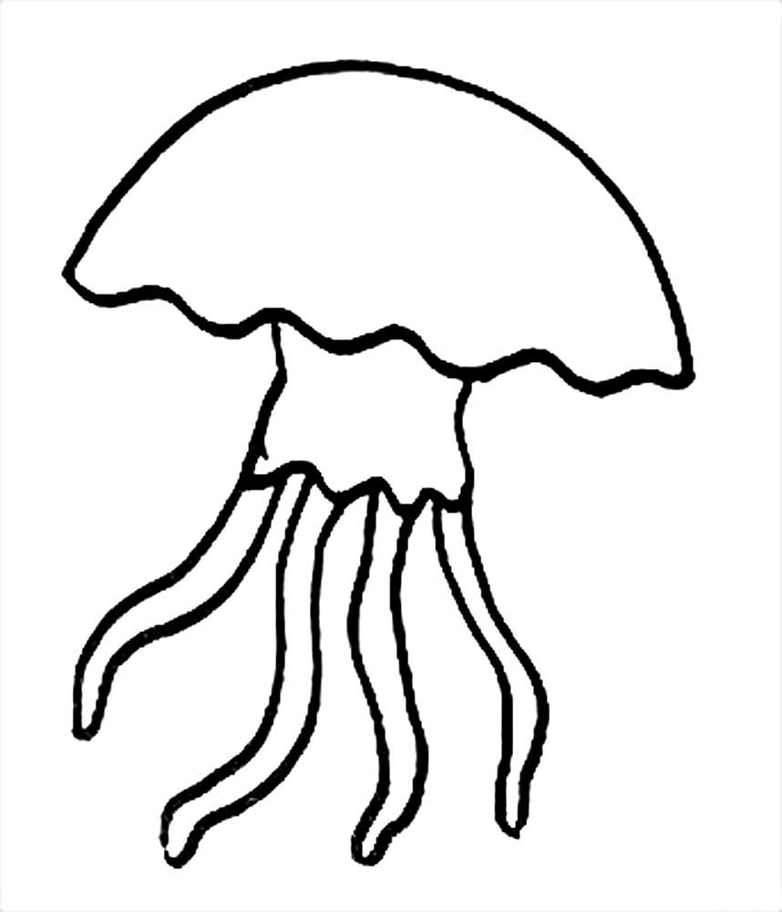 Медуза картинка для детей раскраска