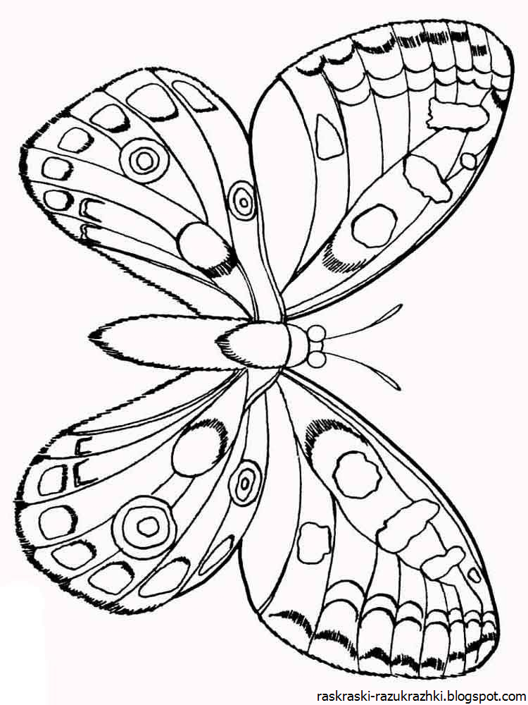 Раскраски для детей 4 5 бабочки. Раскраска "бабочки". Бабочка раскраска для детей. Детские раскраски бабочки. Бабочка раскраска для малышей.