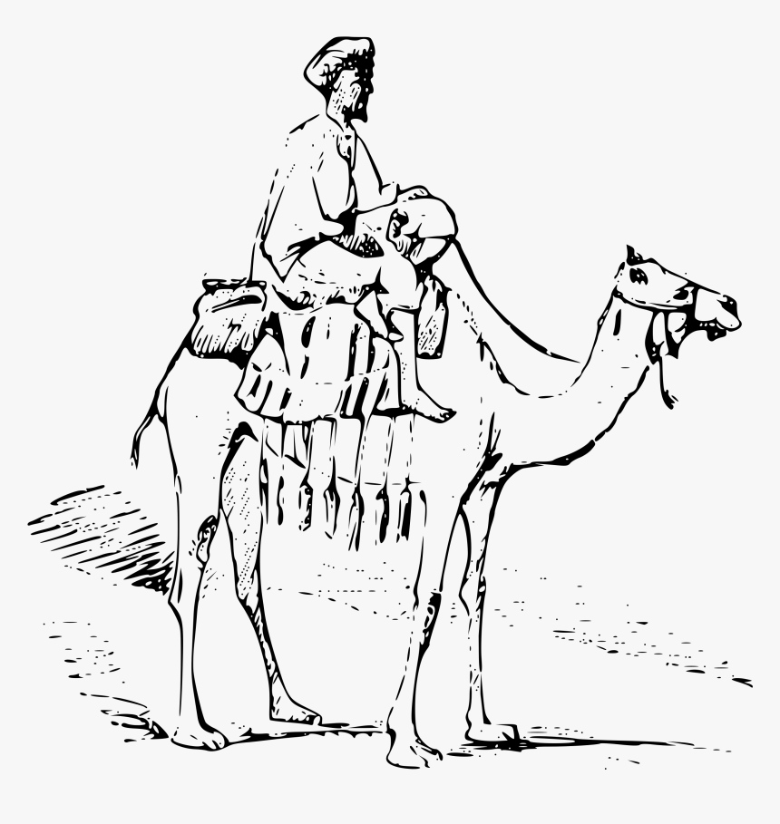 Верблюд рисунок. Верблюд в пустыне. Человек на верблюде рисунок. Верблюд зарисовка.