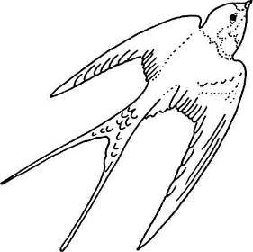 Ласточка рисунок раскраска (46 фото)