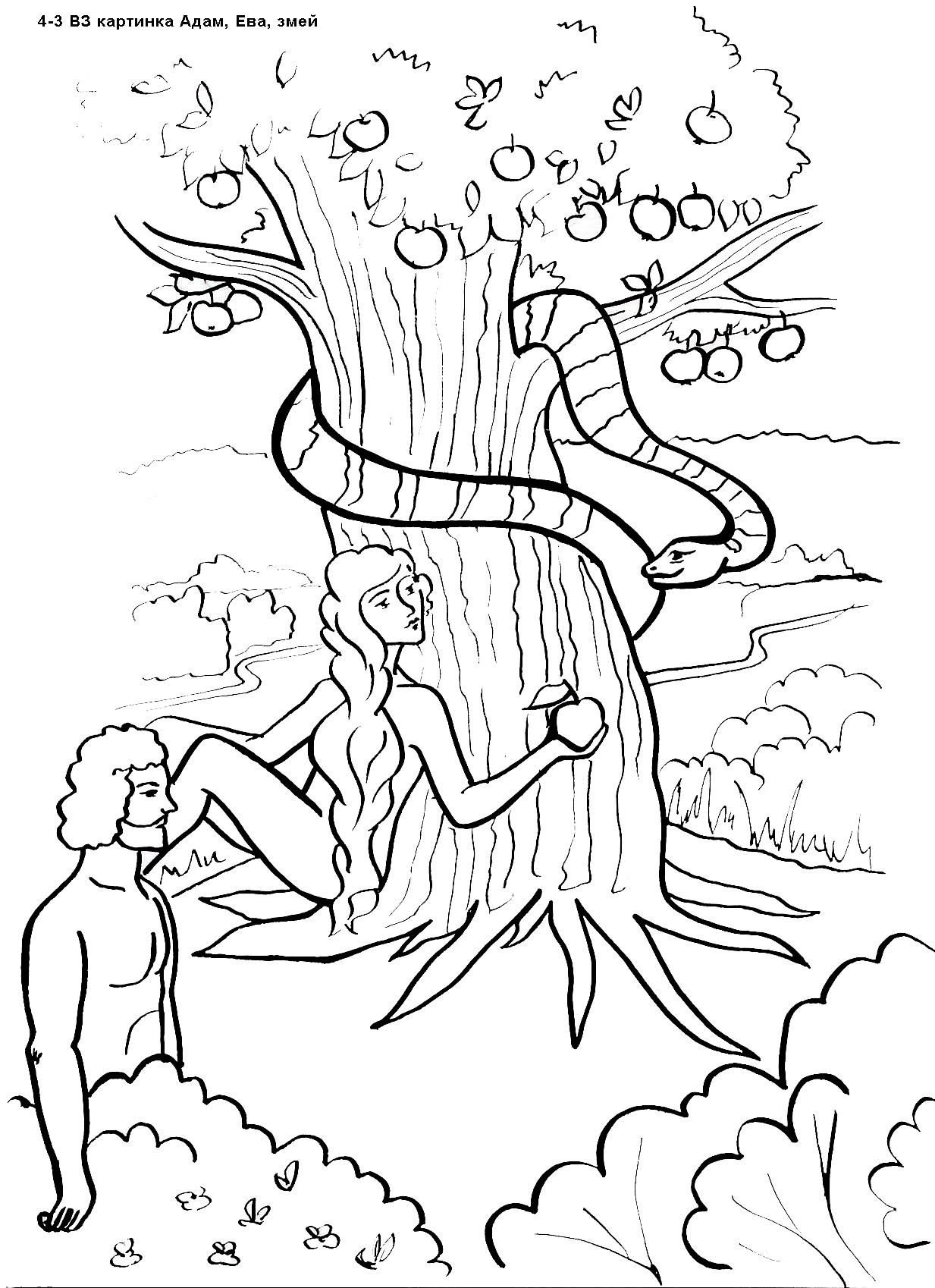 Древо Адама и Евы