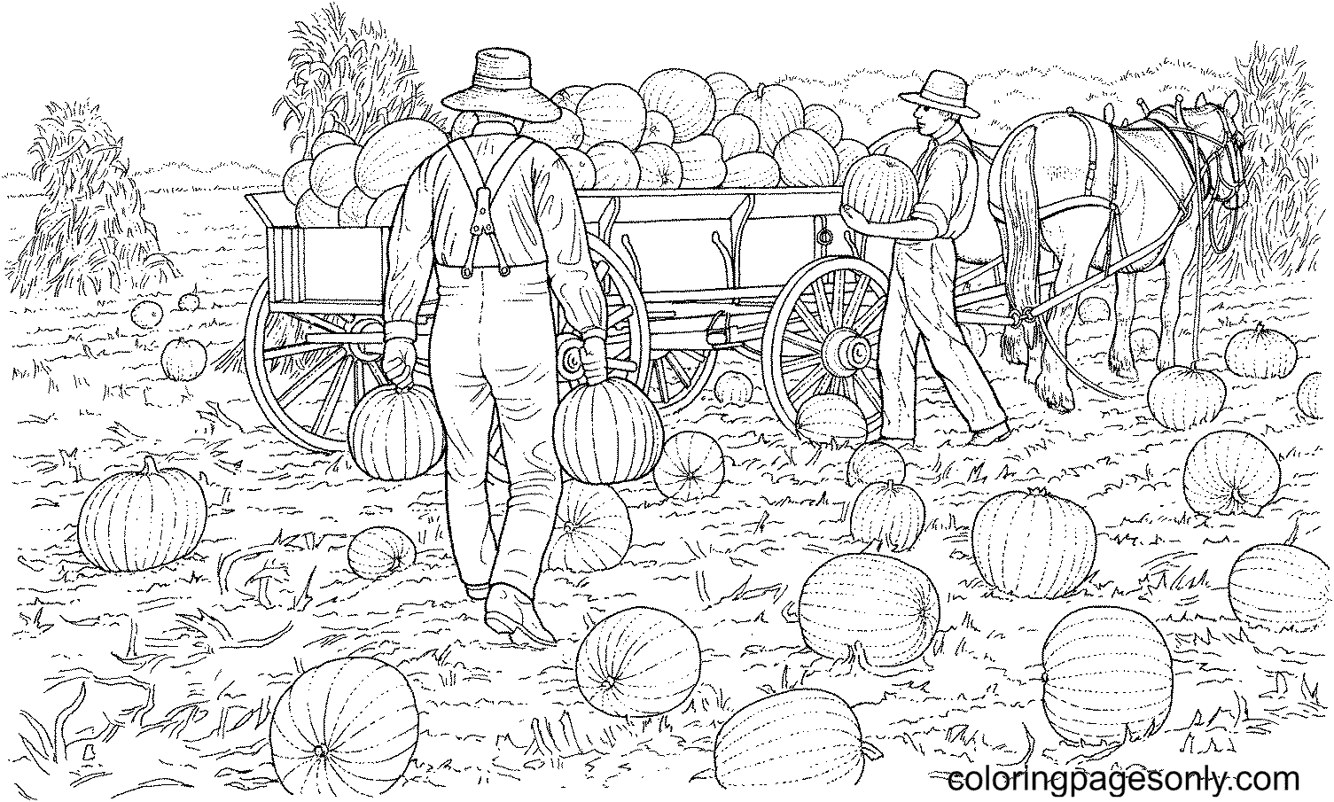 Сбор урожая раскраска для детей
