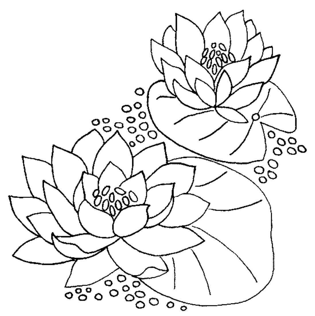 Раскраска Лотос цветок