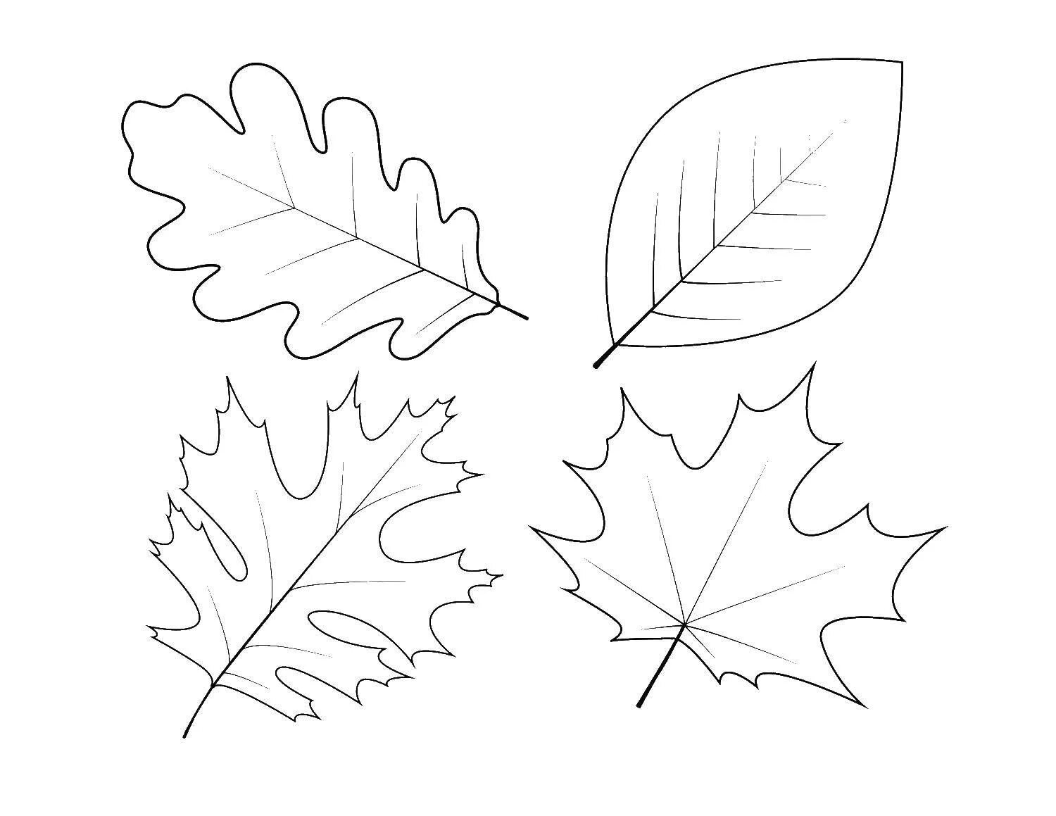 Трафареты осиновых листьев