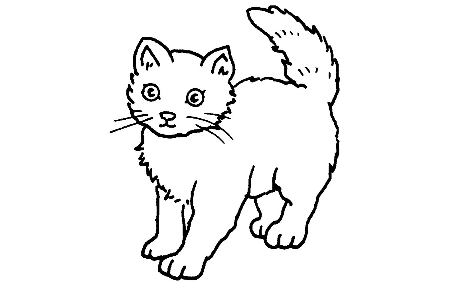 чарушин кошка маруська картинки