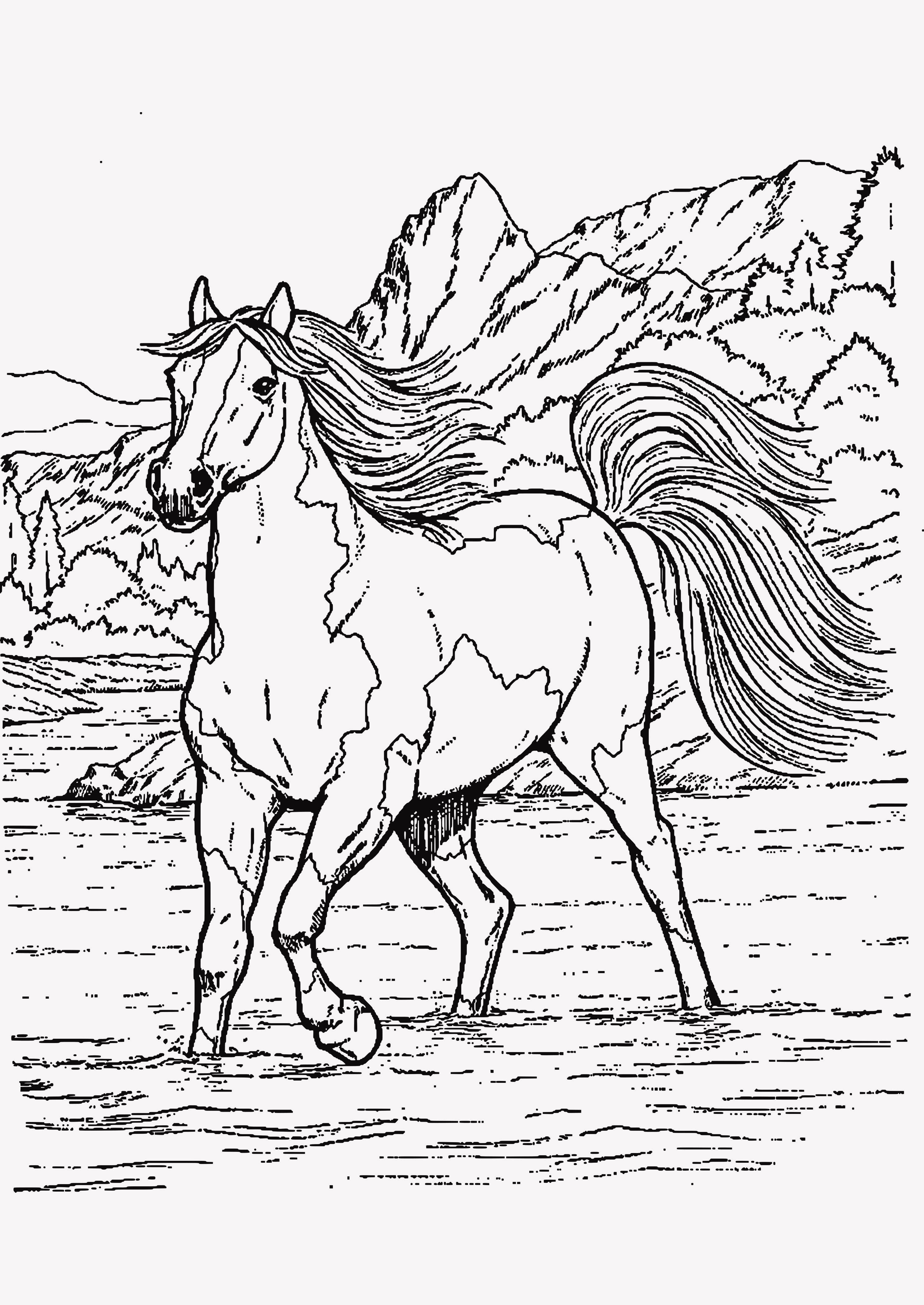 Картинки лошадей для раскрашивания