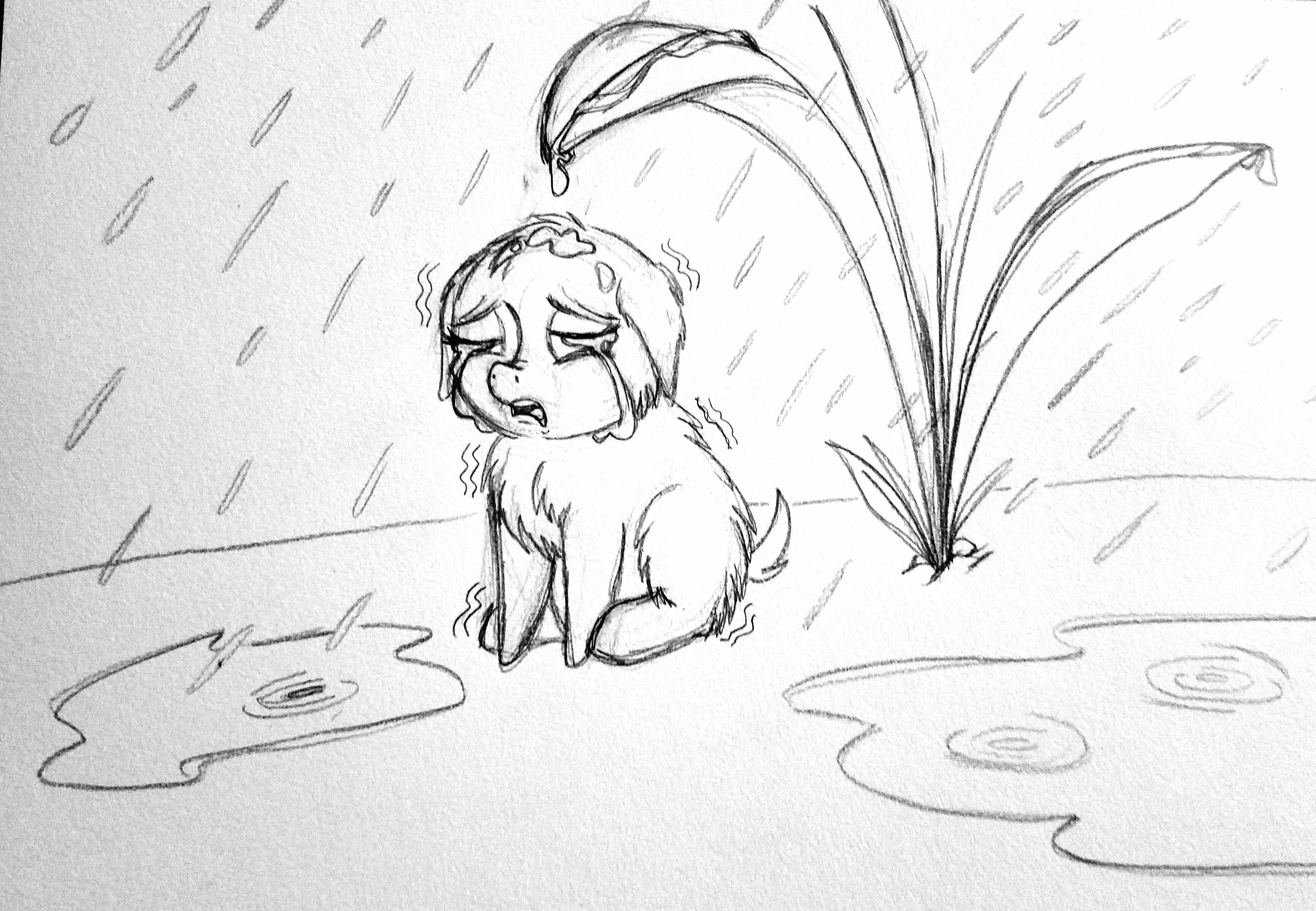 Собака под дождем рисунок карандашом