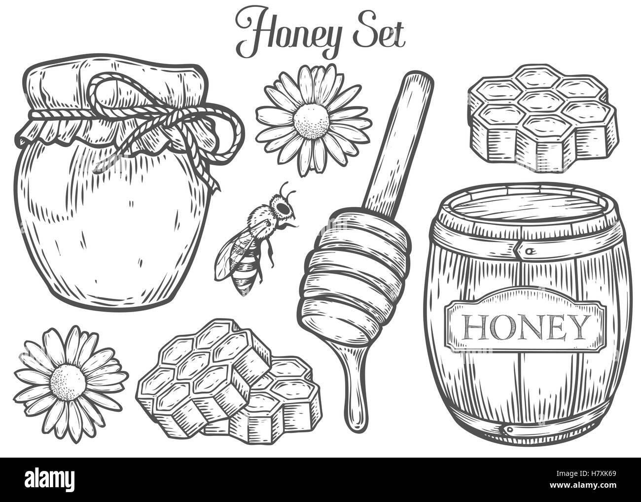 Зарисовки карандашом мед