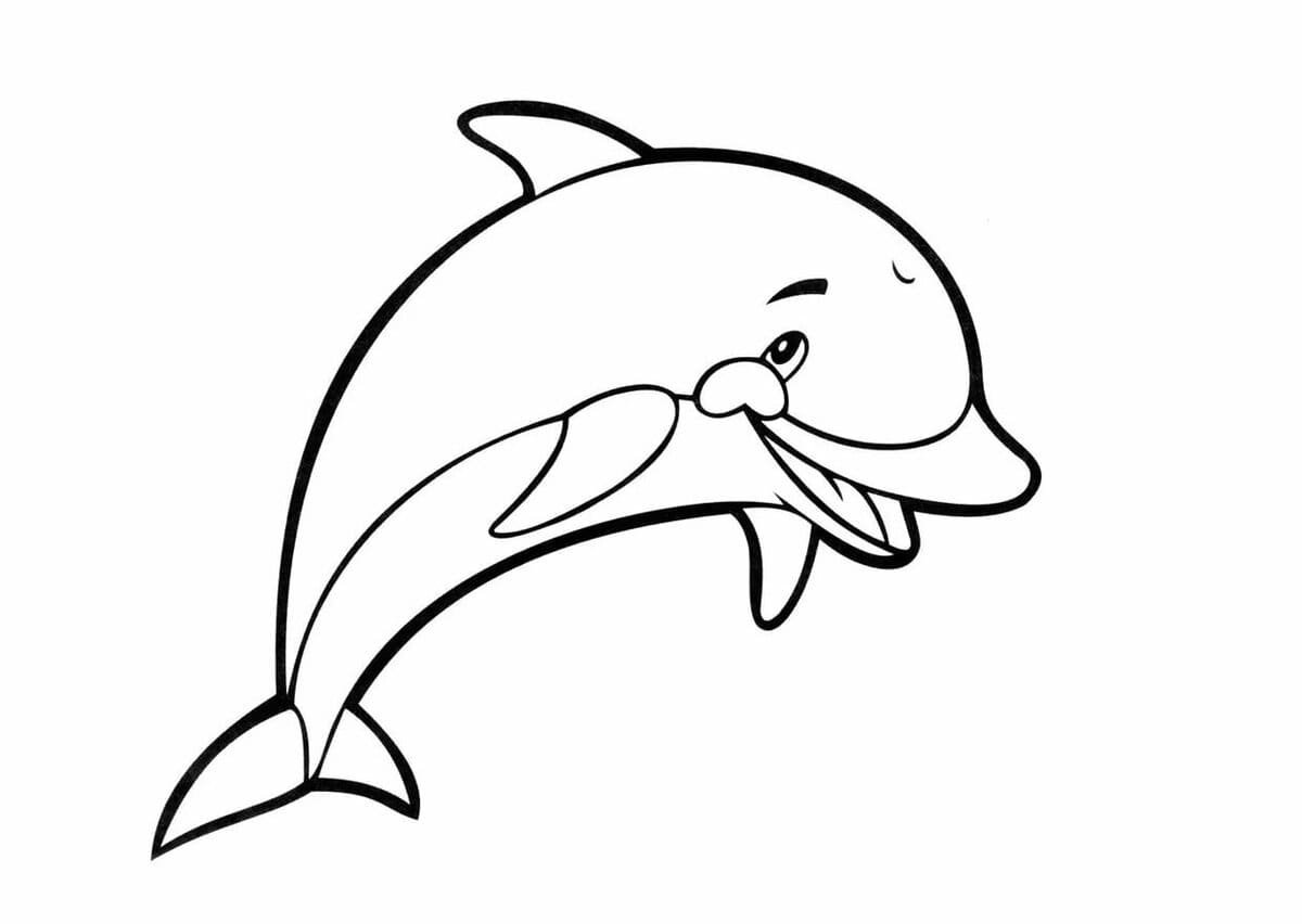 Дельфин раскраска для малышей