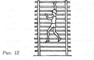 Лазание по шведской стенке