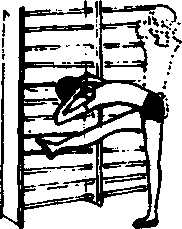 Стойка у гимнастической стенки