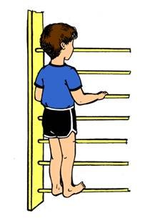 Лазание на гимнастической стенке