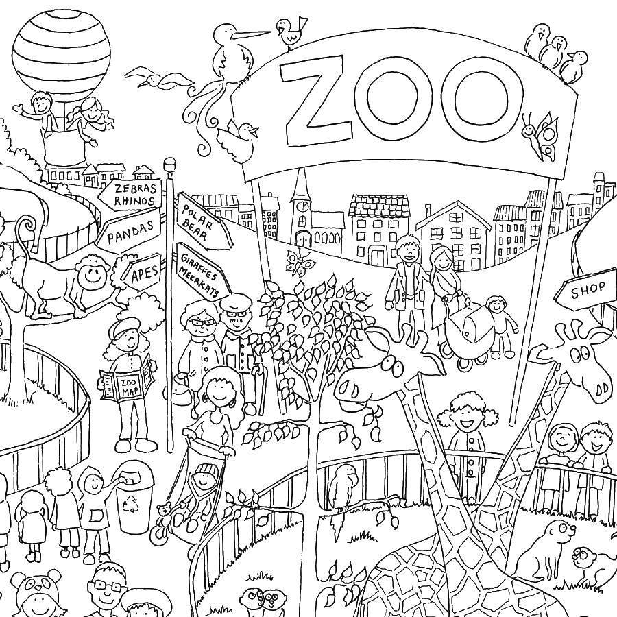 Зоопарк картинки для детей раскраски