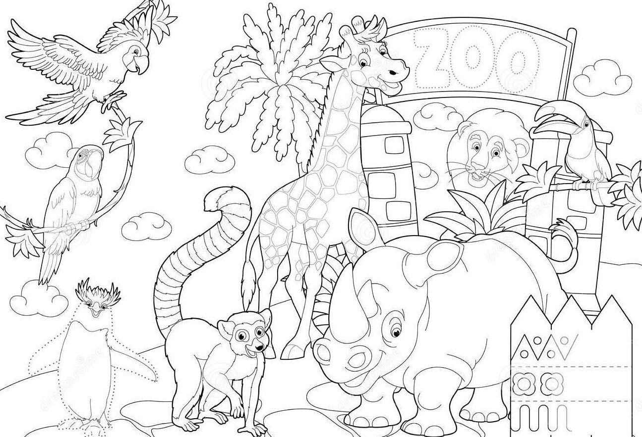 Раскраски на тему зоопарк