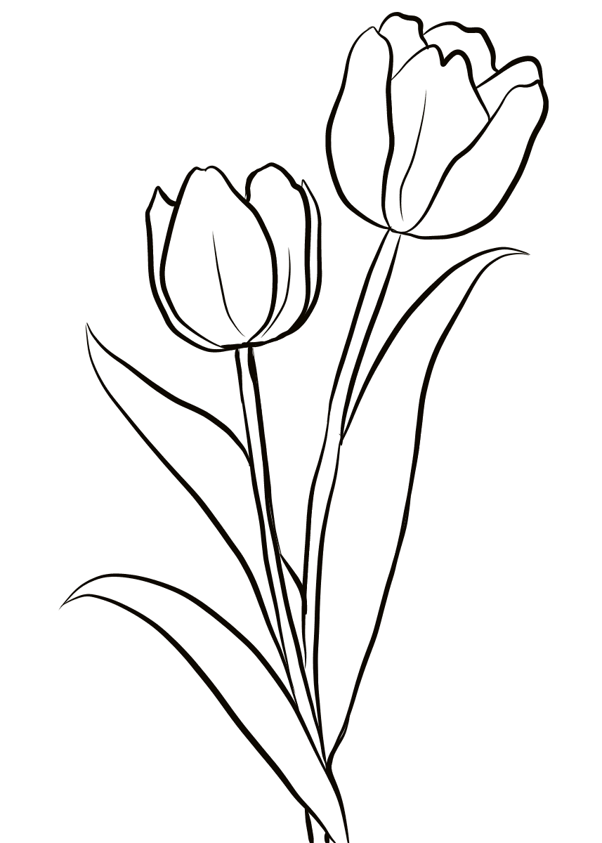 Нарисовать рисунок тюльпаны. Тюльпан контур. Тюльпан раскраска. Тюльпан раскраска для детей. Раскраска цветы тюльпаны.