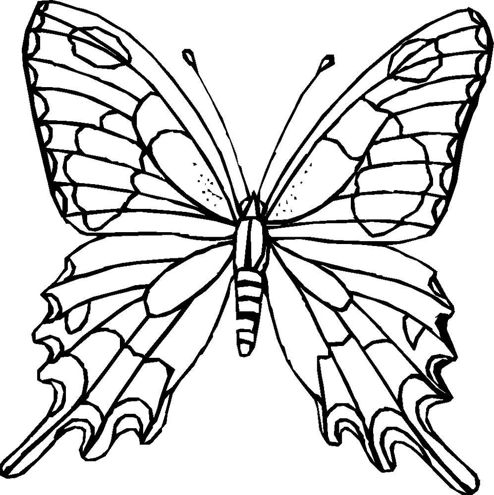 Бабочка для раскрашивания